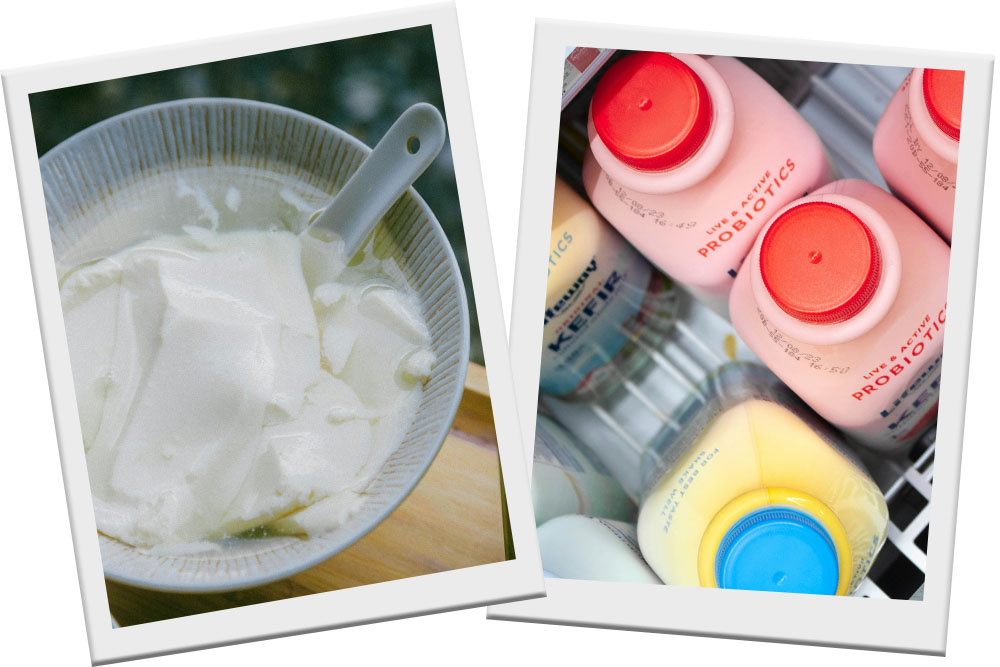 yogurt biblical healing food