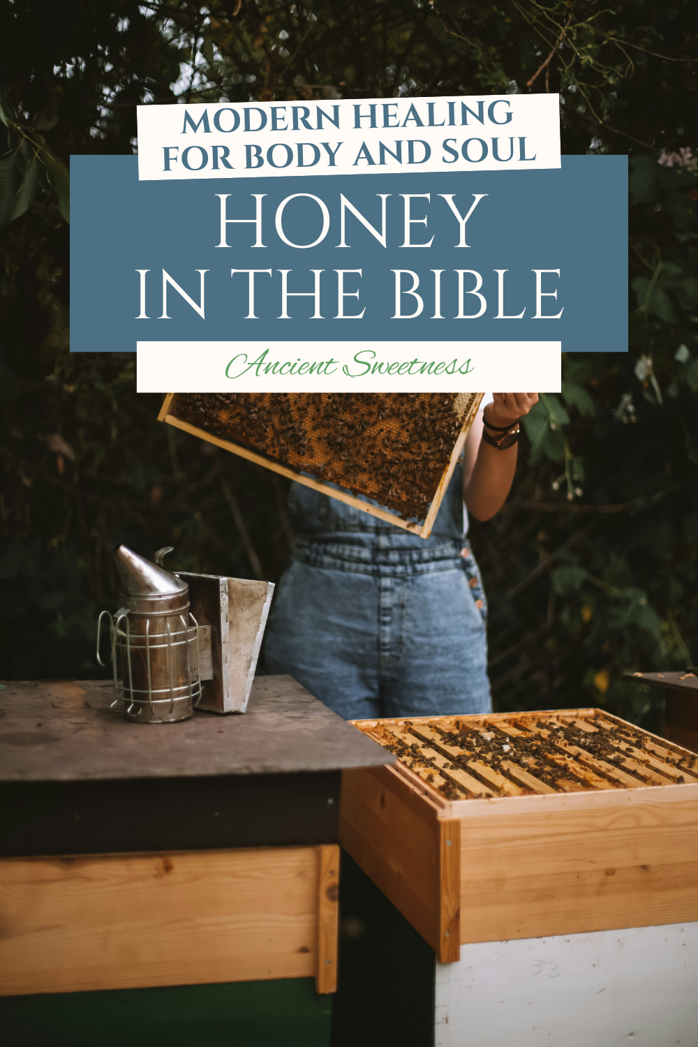 local wildflower honey from small beekeepers, high quality and raw