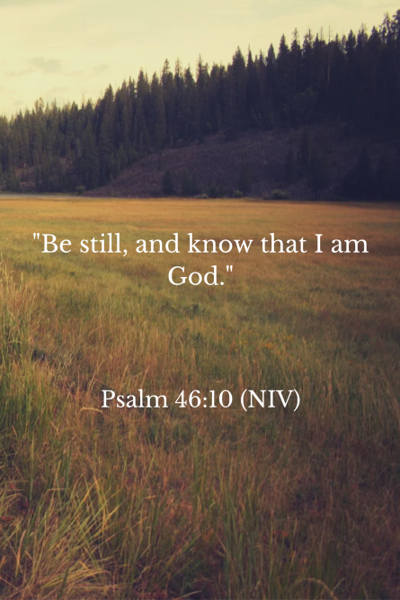 meadow psalm 46 10 niv be still and know