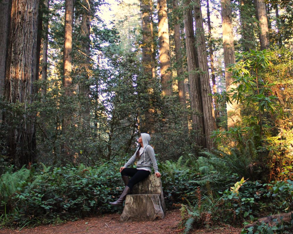 trusting progress over perfection faith based habits