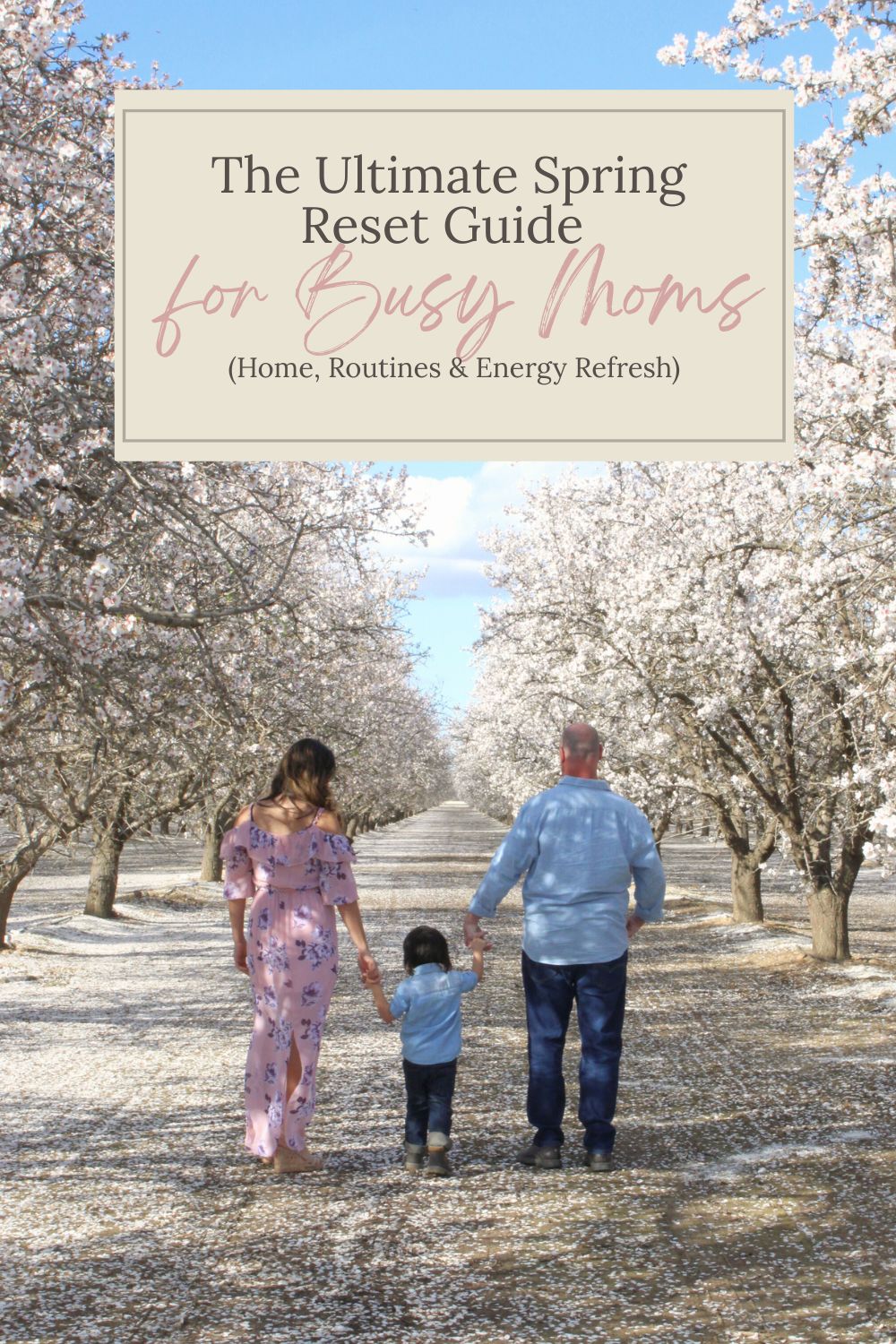 the ultimate spring reset guide